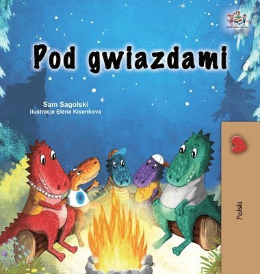 bokomslag Under the Stars (Polish Children's Book)