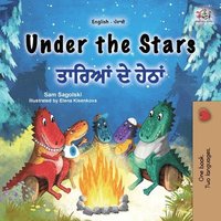 bokomslag Under the Stars (English Punjabi Gurmukhi Bilingual Kids Book)