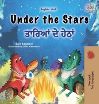 bokomslag Under the Stars (English Punjabi Gurmukhi Bilingual Kids Book)