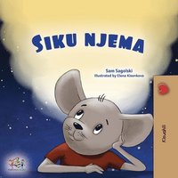 bokomslag A Wonderful Day (Swahili Book for Children)