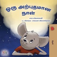 bokomslag A Wonderful Day (Tamil Children's Book)