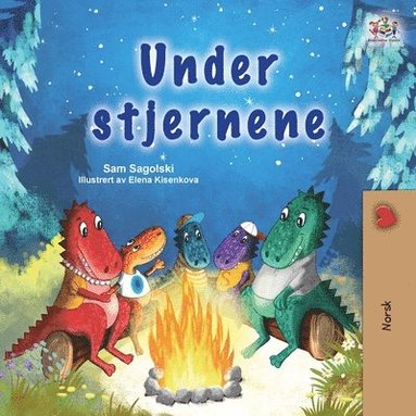 bokomslag Under the Stars (Norwegian Kids Book)