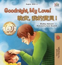 bokomslag Goodnight, My Love! (English Traditional Chinese Children's Book)
