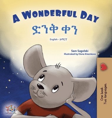 bokomslag A Wonderful Day (English Amharic Bilingual Children's Book)
