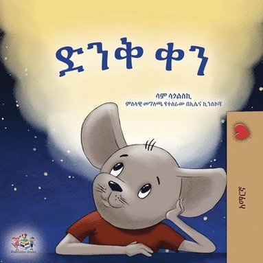bokomslag A Wonderful Day (Amharic Book for Children)