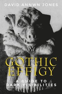 bokomslag Gothic Effigy