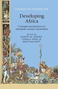 bokomslag Developing Africa