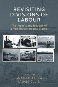 bokomslag Revisiting  Divisions of Labour