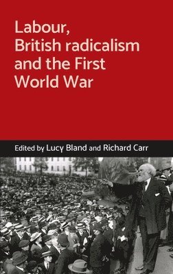 Lucy Bland, Richard Carr - Labour, British Radicalism and the First World War, Inbunden