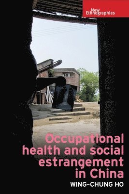 bokomslag Occupational Health and Social Estrangement in China