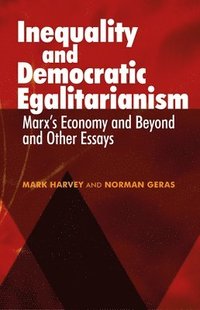 bokomslag Inequality and Democratic Egalitarianism