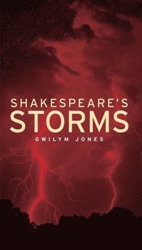bokomslag Shakespeare's Storms