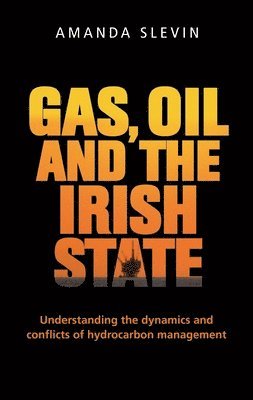 bokomslag Gas, Oil and the Irish State