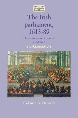 bokomslag Irish Parliament, 1613-89