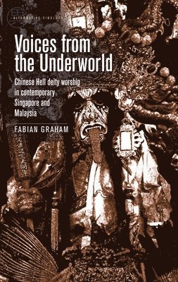 bokomslag Voices from the Underworld