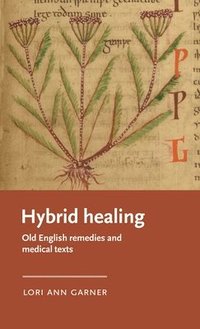 bokomslag Hybrid Healing