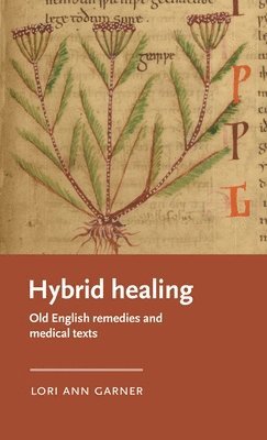 Hybrid Healing 1