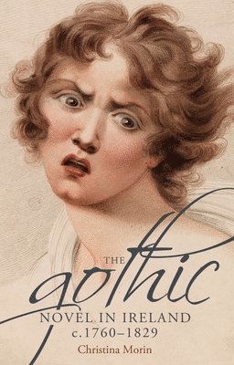 bokomslag Gothic Novel in Ireland, c. 1760-1829