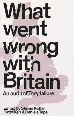Steven Kettell, Peter Kerr, Daniela Tepe - What went wrong with Britain?, Inbunden