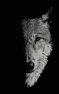 Sam George, Bill Hughes - In the company of wolves, Häftad