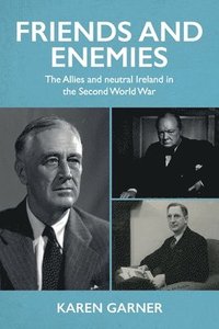 bokomslag Friends and Enemies