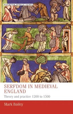 bokomslag Serfdom in Medieval England
