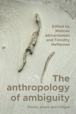 bokomslag Anthropology of Ambiguity