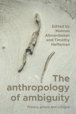 The Anthropology of Ambiguity 1