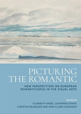 Elisabeth Ansel, Johannes Grave, Christin Neubauer, Mira Claire Zadrozny - Picturing the Romantic, Inbunden