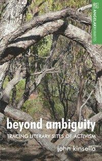 bokomslag Beyond Ambiguity