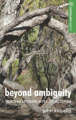 Beyond Ambiguity 1