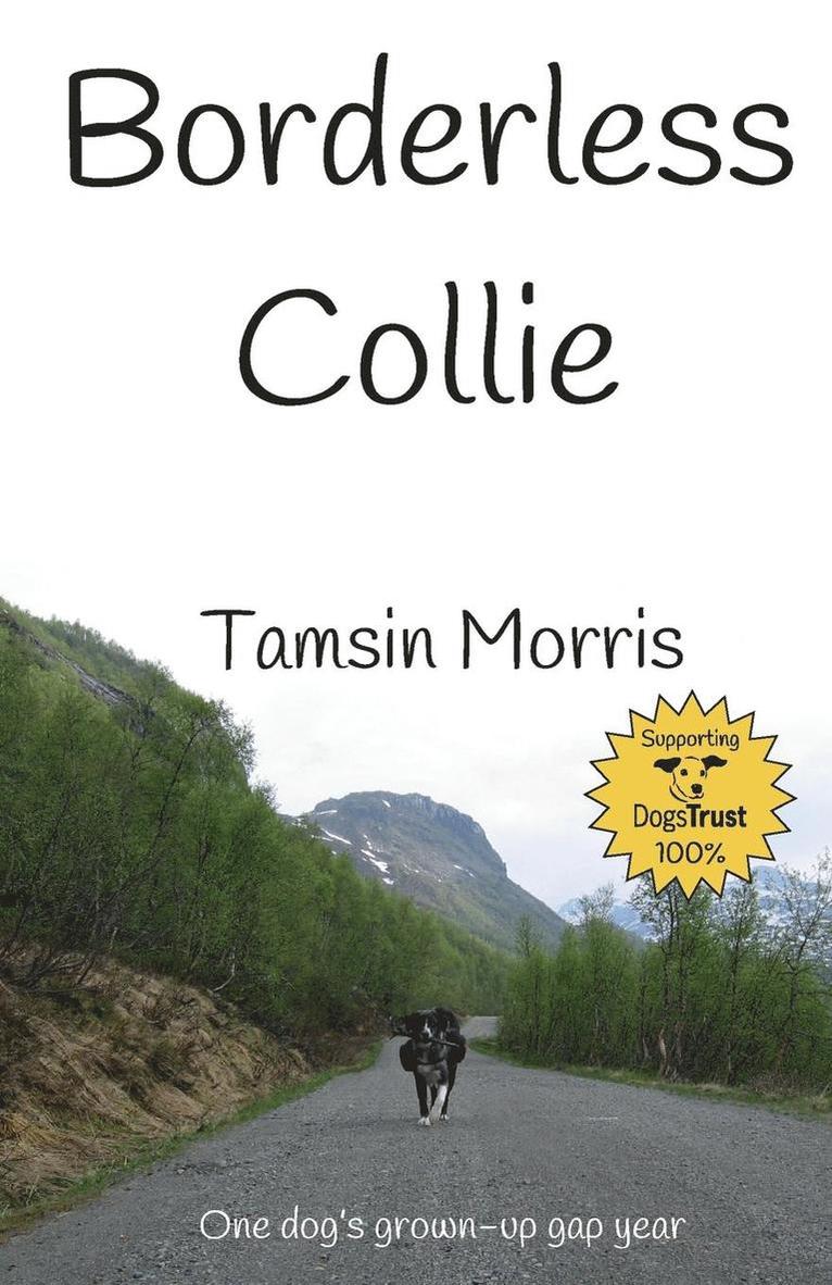 Tamsin Morris - Borderless Collie, Häftad