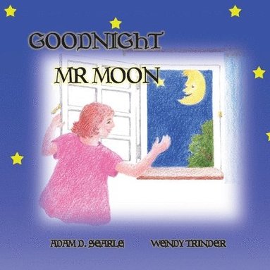 bokomslag Goodnight Mr Moon