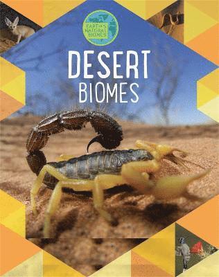 bokomslag Earth's Natural Biomes: Deserts