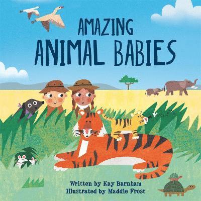 Look and Wonder: Amazing Animal Babies 1
