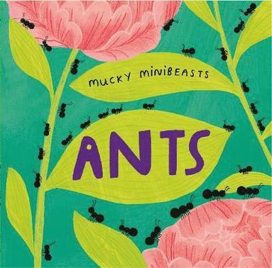 bokomslag Mucky Minibeasts: Ants