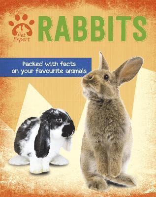 bokomslag Pet Expert: Rabbits