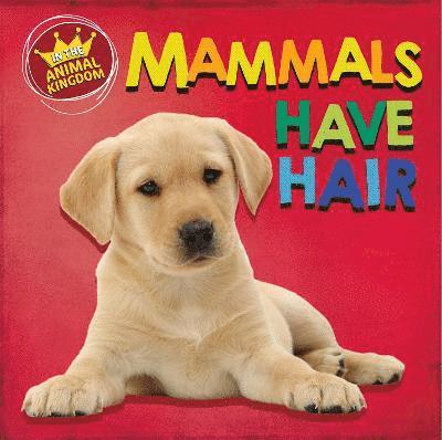 In the Animal Kingdom: Mammals Have Hair 1