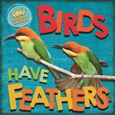 bokomslag In the Animal Kingdom: Birds Have Feathers