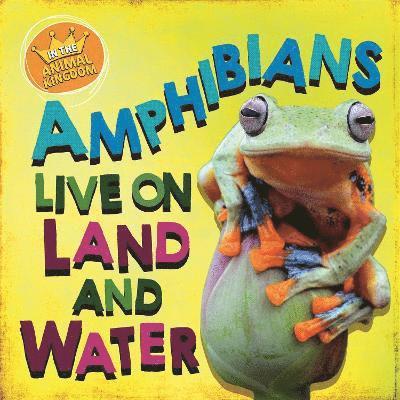 In the Animal Kingdom: Amphibians Live on Land and in Water 1