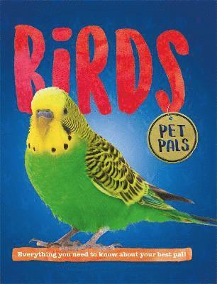 Pet Pals: Birds