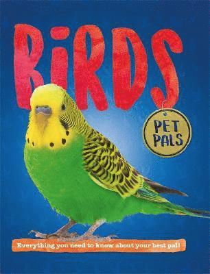 Pat Jacobs - Pet Pals: Birds, Häftad