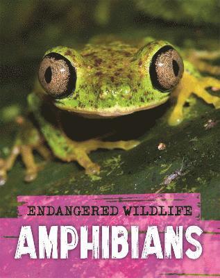 bokomslag Endangered Wildlife: Rescuing Amphibians