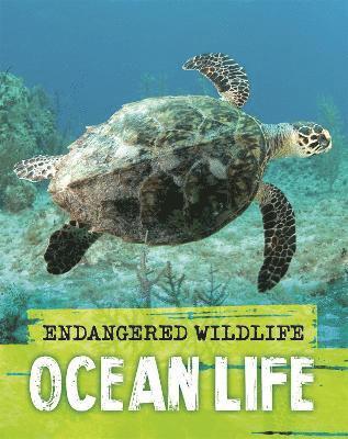 bokomslag Endangered Wildlife: Rescuing Ocean Life