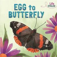 bokomslag Life Cycles: Egg to Butterfly