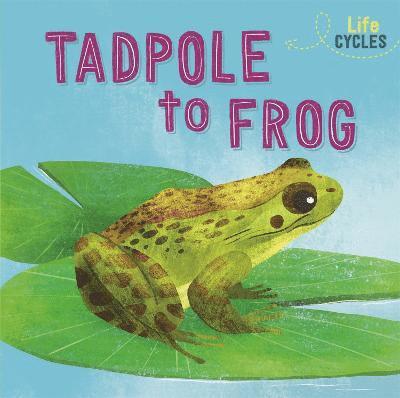 Life Cycles: From Tadpole to Frog 1