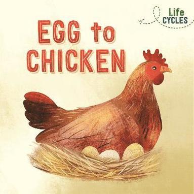 Rachel Tonkin - Life Cycles: Egg to Chicken, Häftad