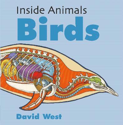 Inside Animals: Birds 1