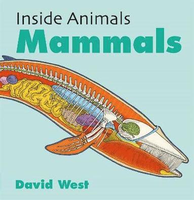 bokomslag Inside Animals: Mammals