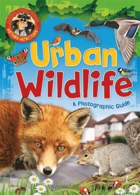 Nature Detective: Urban Wildlife 1